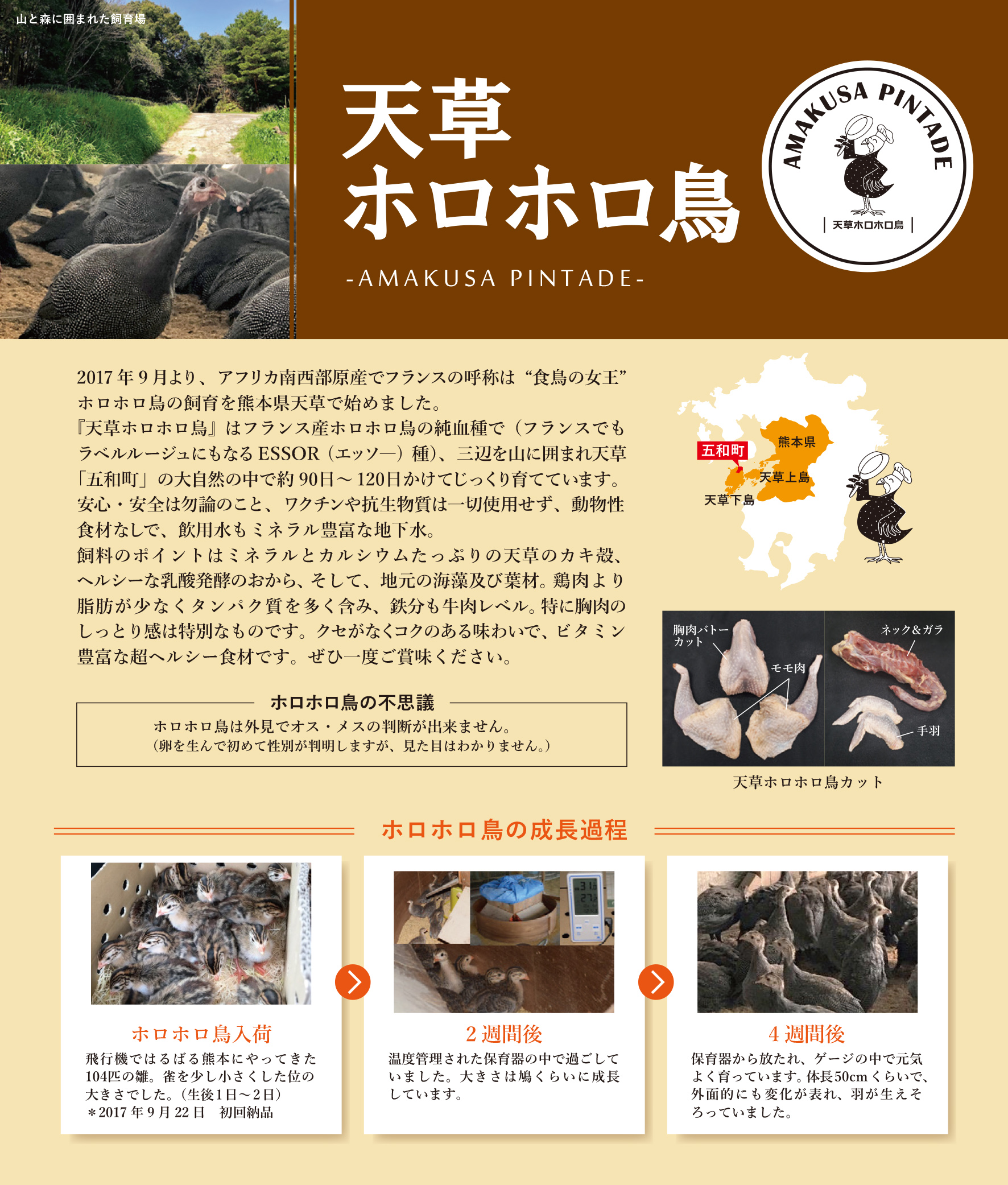 冷凍 天草ホロホロ鳥 キュイス 約600ｇ 骨なしモモ肉 Farmq ショッピングサイト